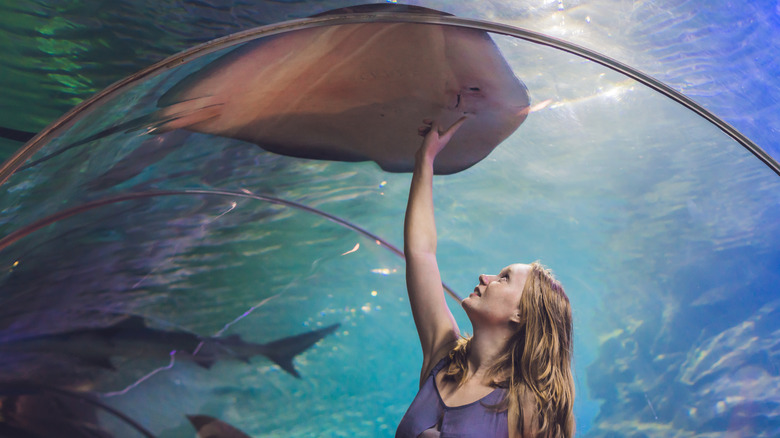 woman at Dubai Aquarium