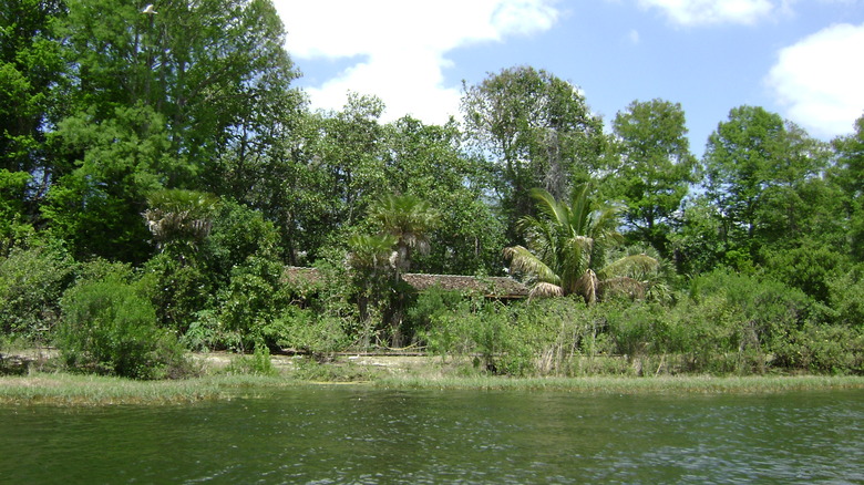 Abandoned Discovery Island, Disney World, Florida