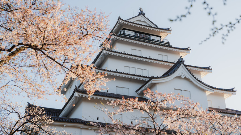 Aizu Wakamatsu castle during Hanami