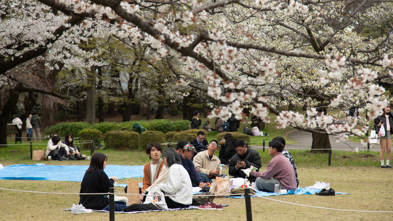 Picnickers at Yoyogi park in Tokyo