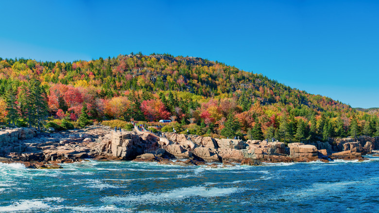 Water view of Acadia National Park 