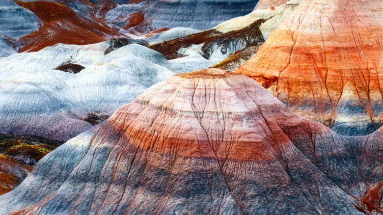 The Petrified Forest's Painted Desert