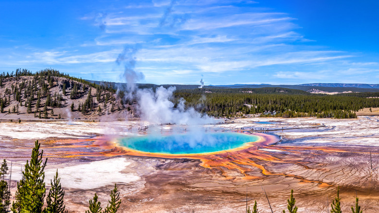 view of Yellowstone National Park