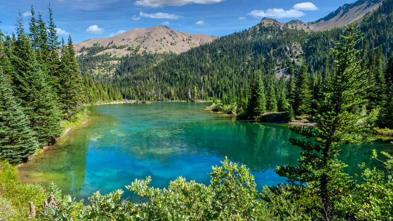 view of Olympic National Park