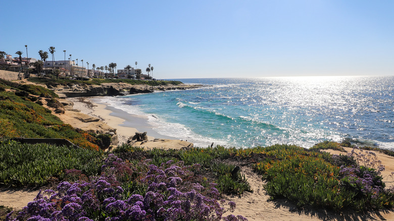 La Jolla on the San Diego coastline