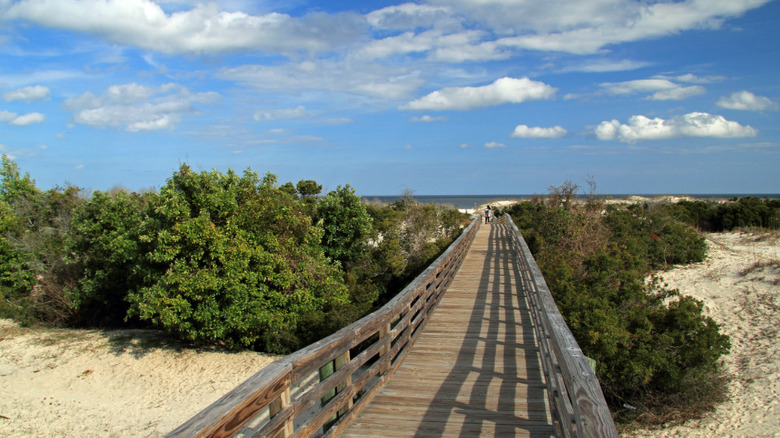 walkway in Cumberland Island National Seashore