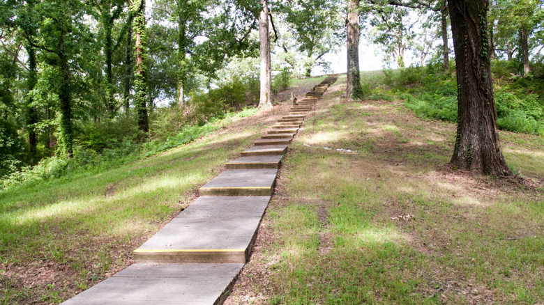 walkway at Poverty Point Exclude