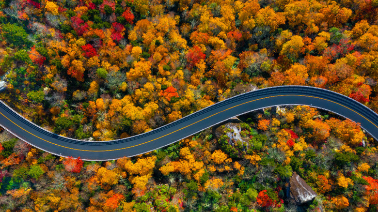 Blue Ridge Parkway in Autumn