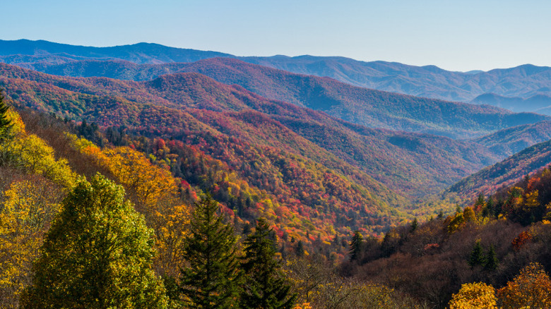 view of Great Smoky Mountains