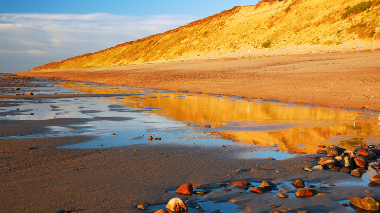 Sands of Marconi Beach