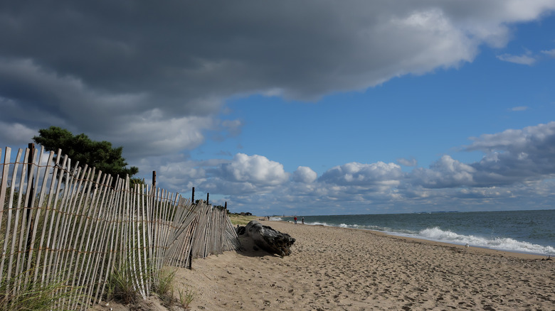 Waterfront at Hammonasset Beach 