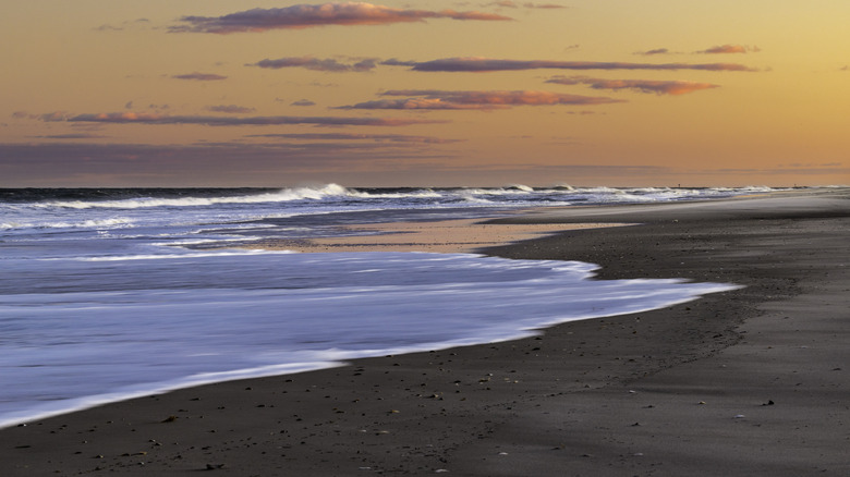 Island Beach State Park splendor