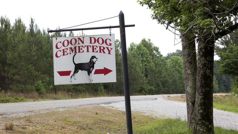 Coon Dog Cemetery sign