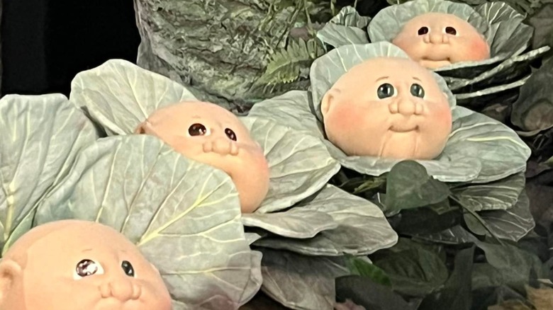 Babyland Cabbage Patch dolls