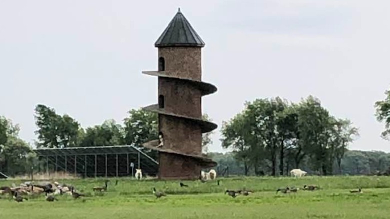 Goat Castle in Illinois