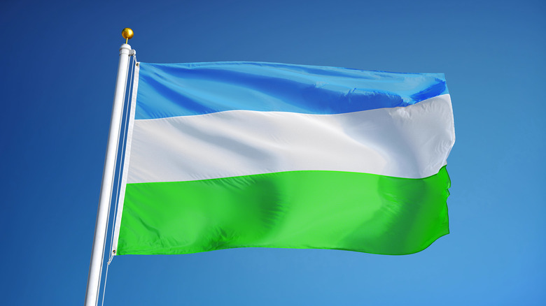 Flag of Molossia