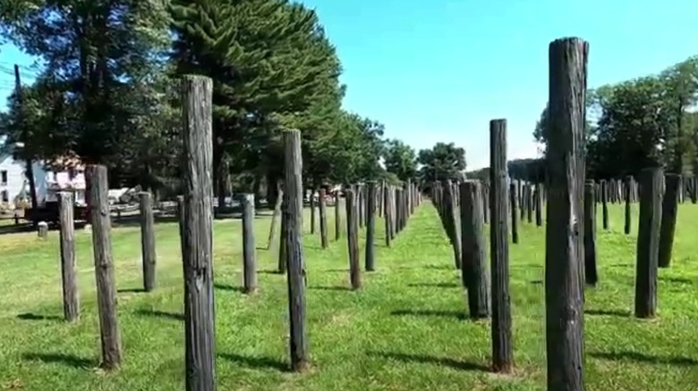 Telephone poles in Chester, NJ