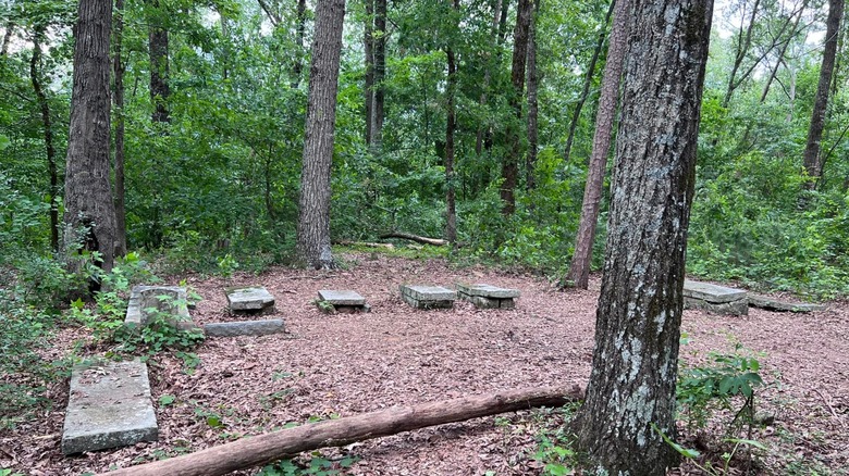 Graves at Cemetery Island