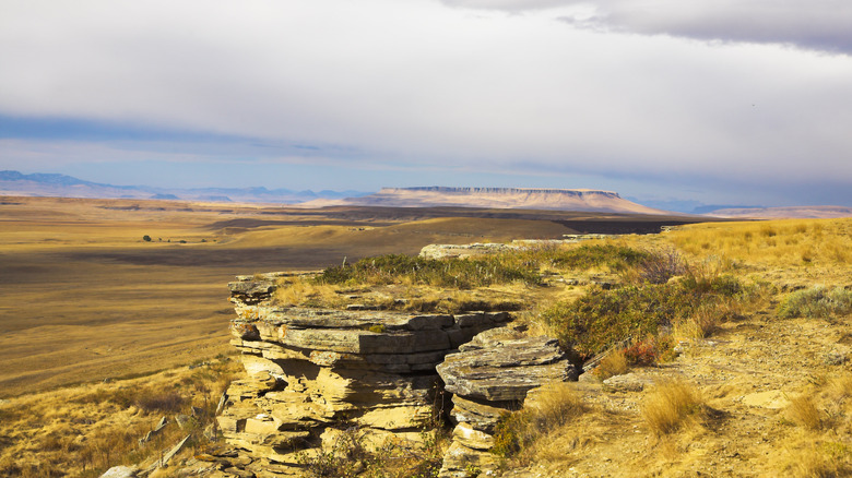 cliffs of Buffalo Jump Park 