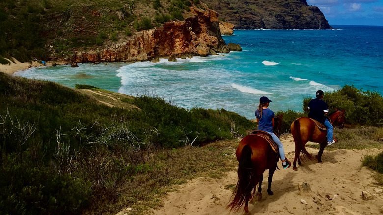 Hawaii horseback tour