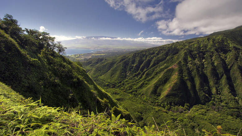 Waihee Valley