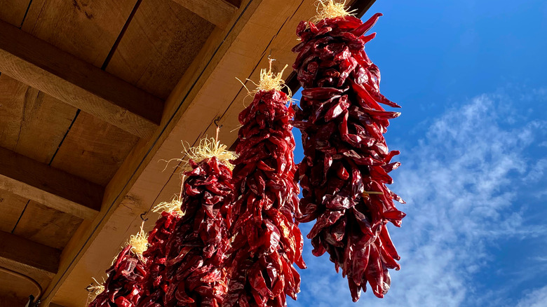 red chile ristra hanging