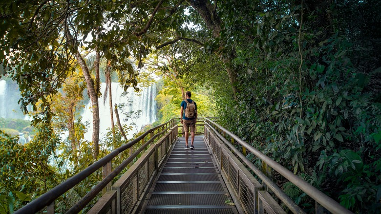 man visiting Iguazu Falls