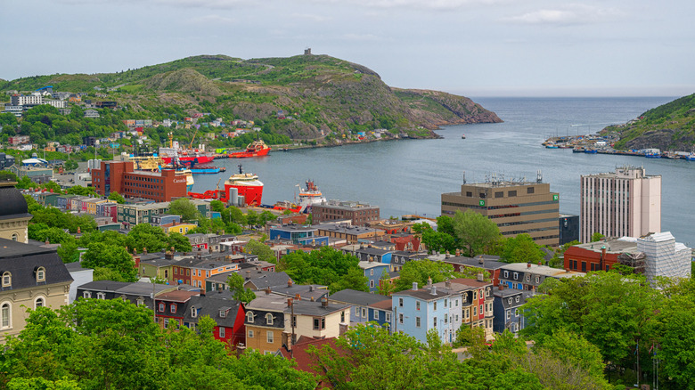 An aerial view of St. John's, Newfoundland