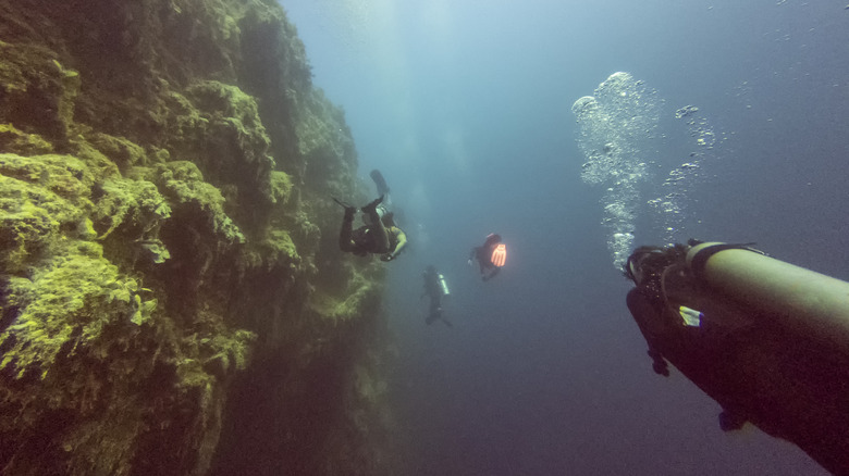 Four divers next to seawall