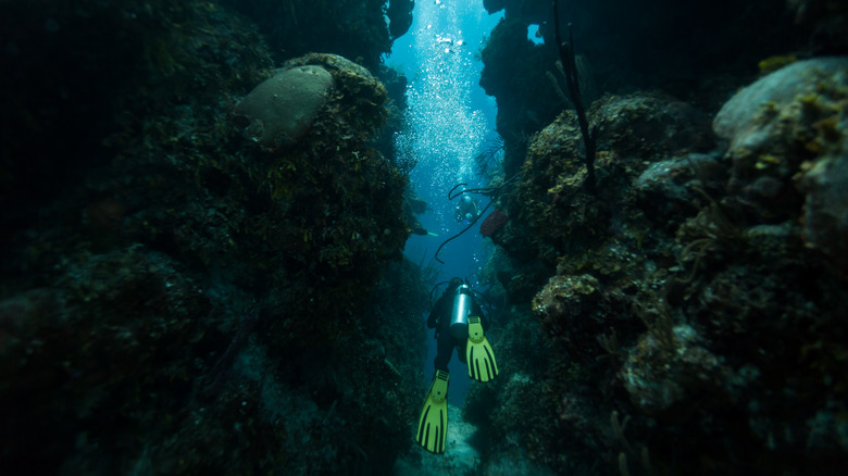 Diver swimming through tunnel