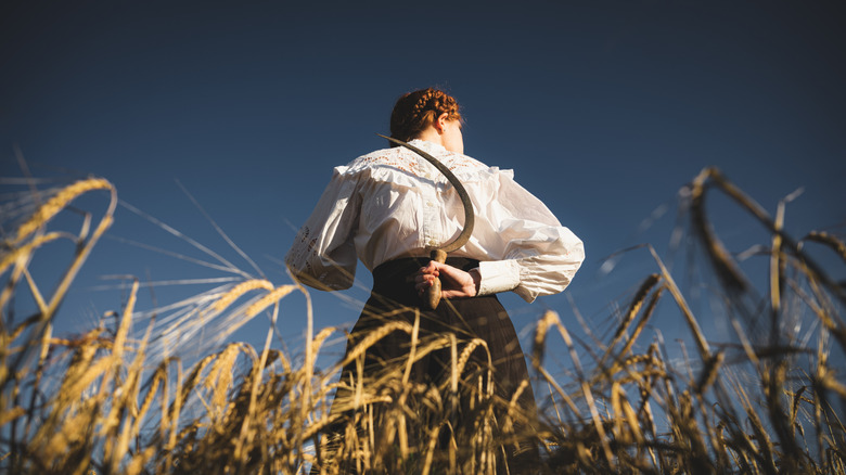 Folk woman in field