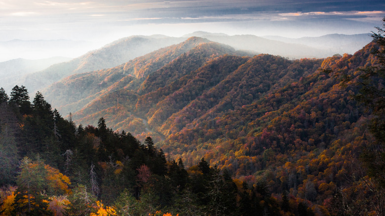 Mysterious mountains in the mist