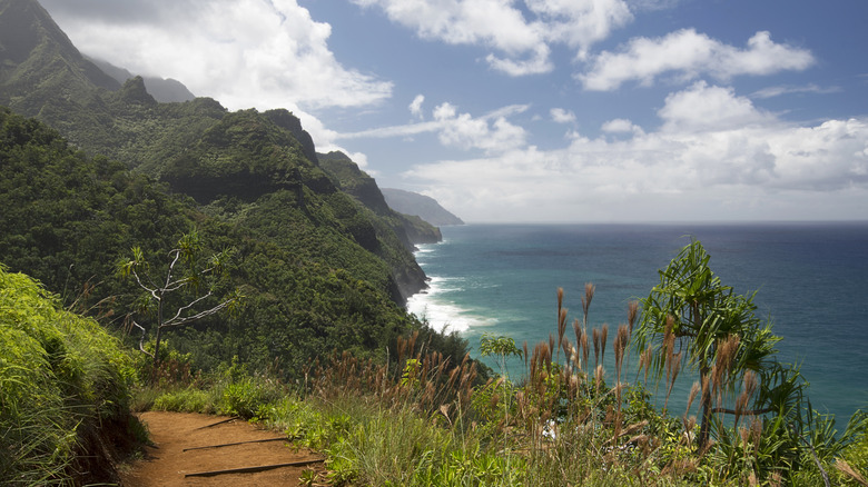  Kalalau Trail in Hawaii 