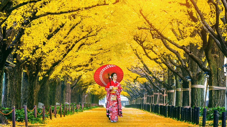 woman walking beneath ginkgo trees