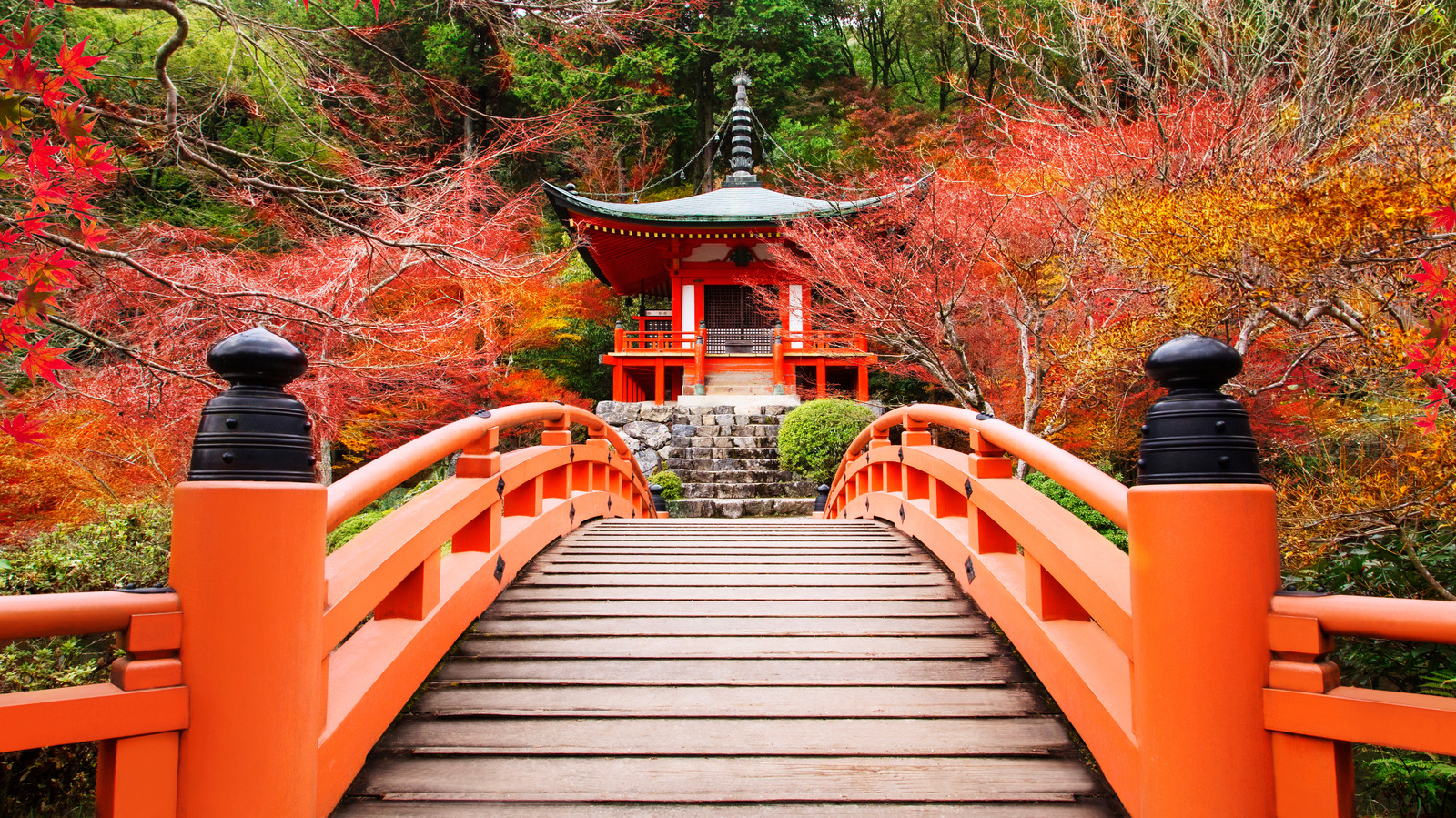 Why November Is The Perfect Month For Budget Travelers To Visit Japan