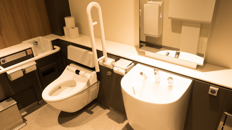 multipurpose toilet in Japan