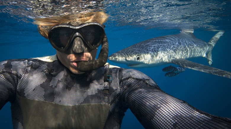 Scuba diver taking selfie with blue shark