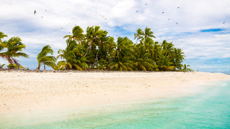 Windy beach in Tuvalu