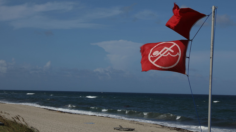 Double red flags on the beach 