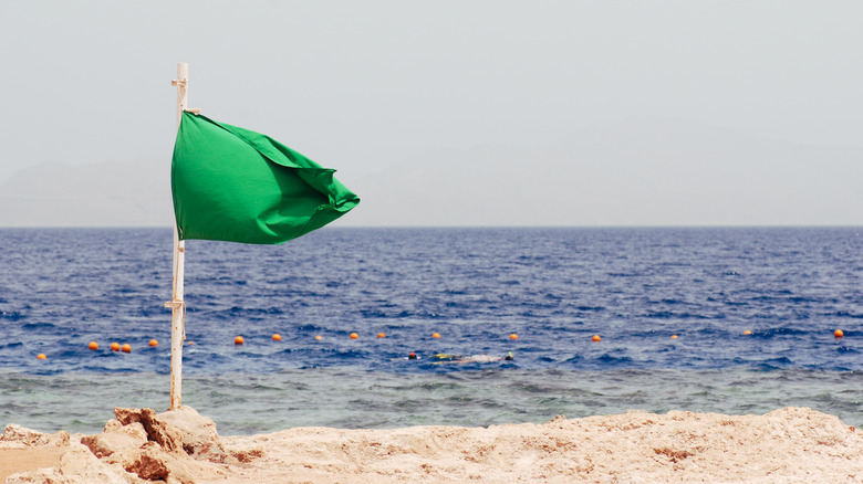 A green beach flag 