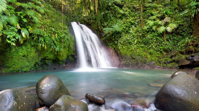 Waterfall in Guadeloupe