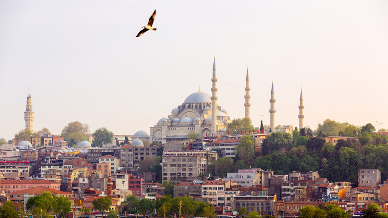 The Blue Mosque, an iconic part of the Istanbul skyline