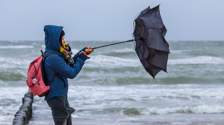 person holding inside out umbrella