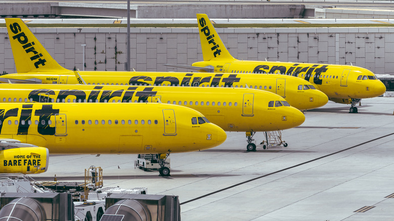 yellow Spirit Airlines planes 