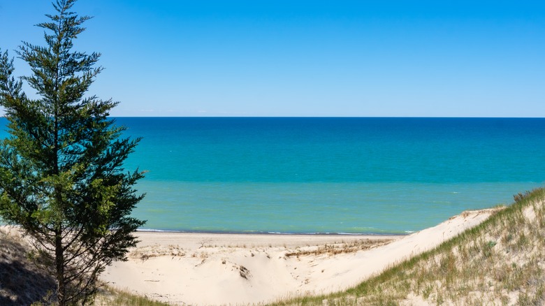 Indiana Dunes State Park shore