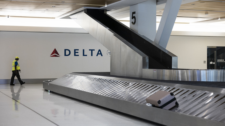 delta airport luggage carousel 