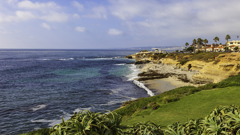 view of the beach at La Jolla Cove 