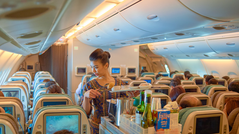 Flight attendant serving passengers 