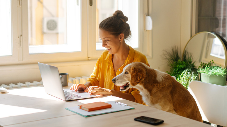 a happy lady and her dog at a computer