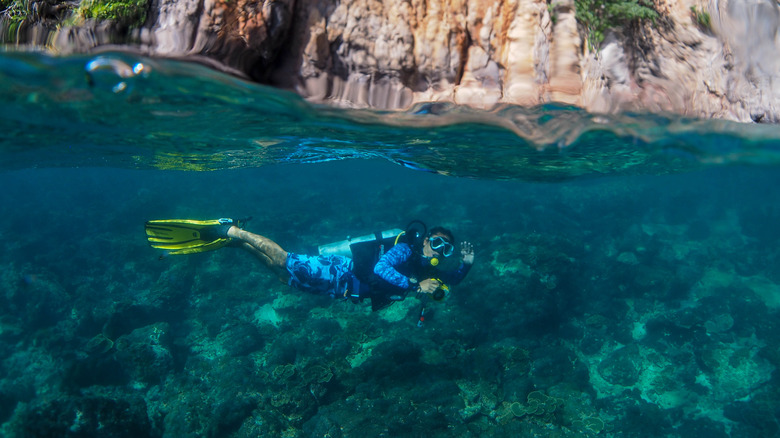 scuba diver waving underwater